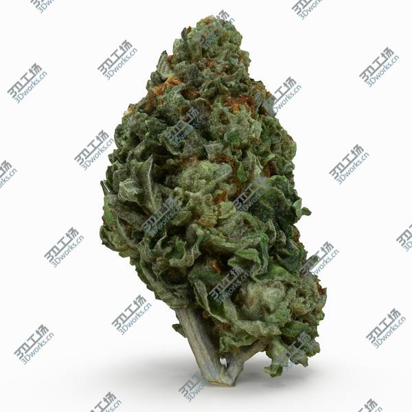 images/goods_img/20210312/Cannabis Bud 06 3D model/2.jpg